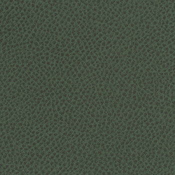 Steinbeck Sherwood by Nassimi Designer Fabric See sample 95% Polyurethane (Polycarbonate)5% Silicone  300000 Horizontal: Not Applicable and Vertical: Not Applicable 54"  - Swanky Fabrics -