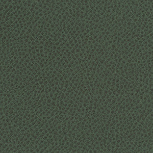 Steinbeck Sherwood by Nassimi Designer Fabric