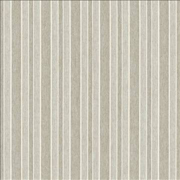 Structured 55 Shadow by Kasmir Designer Fabric