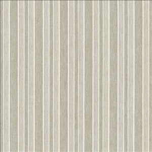 Structured 55 Shadow by Kasmir Designer Fabric