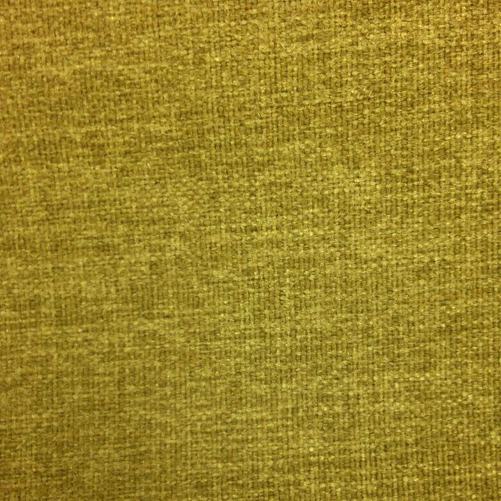 Studio Grass by Europatex Designer Fabric Studio 100% Polyester 0.00" 55.00 inches - Swanky Fabrics -