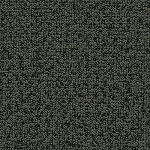 Study Graphite by Crypton Designer Fabric