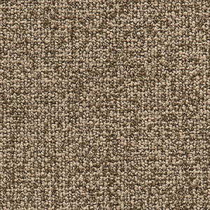 Study Tawny by Crypton Designer Fabric