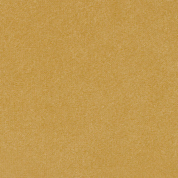 Suede Dijon by Crypton Designer Fabric See sample 100% Polyester  50000 Horizontal: Not Applicable and Vertical: Not Applicable 54"  - Swanky Fabrics -