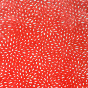 Sun Coral by Europatex Designer Fabric