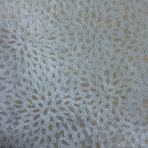 Sun Powder by Europatex Designer Fabric