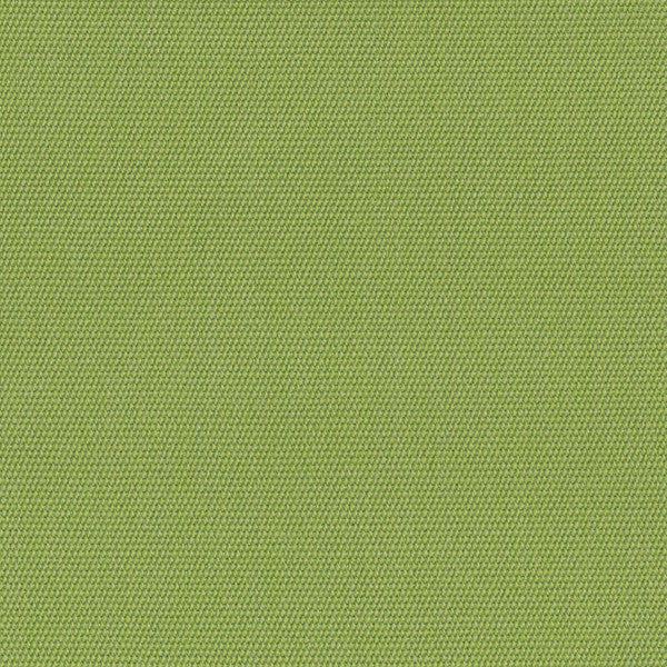 54011 Canvas Ginko by Sunbrella Designer Fabric Cushion Furniture Drapery Fabrics > Sunbrella Solids 100% Acrylic USA or Imported n/a 54" - Swanky Fabrics -