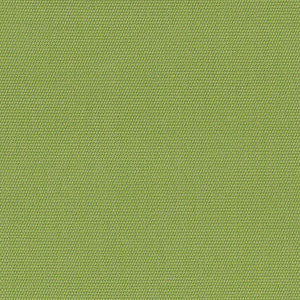 54011 Canvas Ginkgo by Sunbrella Designer Fabric