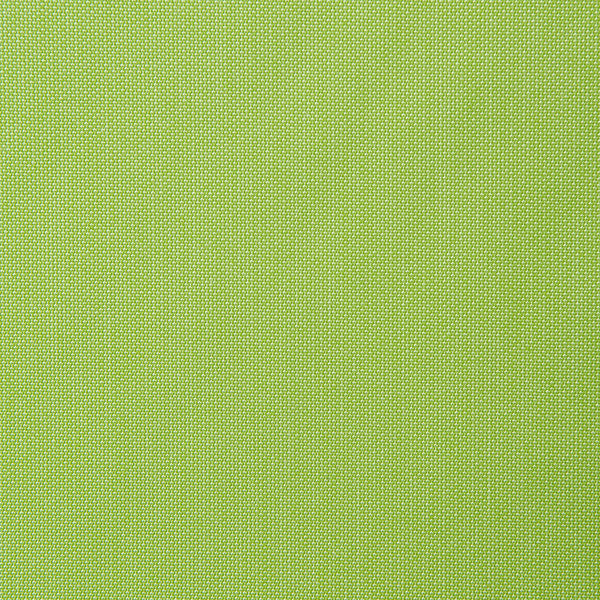Sunbrella Fabric 5405 Canvas Parrot 3 1/8 Yards
