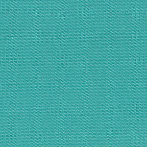 5416 Canvas Aruba by Sunbrella Designer Fabric