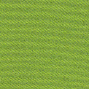 5429 Canvas Macaw by Sunbrella Designer Fabric