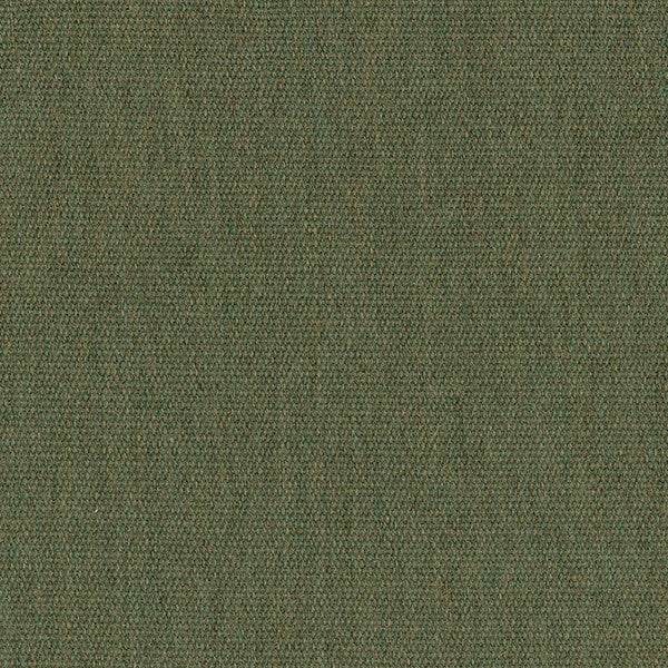 5487  Canvas Fern by Sunbrella Designer Fabric our website for purchase 100% Sunbrella Acrylic USA (see sample) n/a 54"  - Swanky Fabrics -