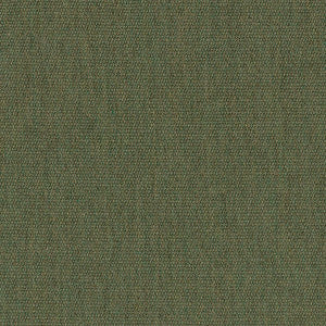 5487 Canvas Fern by Sunbrella Designer Fabric