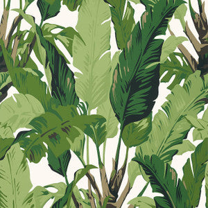 Travelers Palm Green T10127 by Thibaut Designer Wallpaper