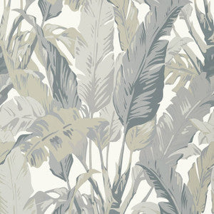 Travelers Palm Grey T10129 by Thibaut Designer Wallpaper