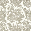 Marine Coral Beige T10140 by Thibaut Designer Wallpaper