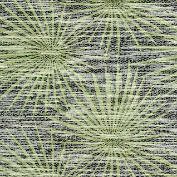 Palm Frond Black and Green T10143 by Thibaut Wallpaper Thibaut Wallpaper Palm Frond Black and Green T10143Wallpaper Tropics Non-Woven Vinyl Wallpaper U.S.A. </p><p>Repeat: V: 20.5 27 - Fabric Carolina -