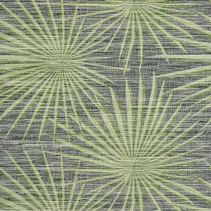 Palm Frond Black and Green T10143 by Thibaut Designer Wallpaper