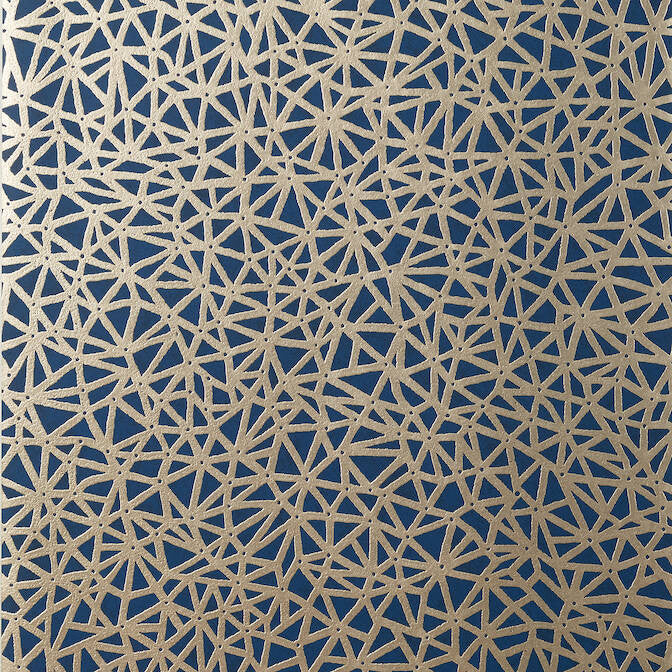 Aedan Navy T10406 by Thibaut Wallpaper Thibaut Wallpaper Aedan Navy T10406Wallpaper Modern Resource 2 Non Woven Wallpaper CHINA </p><p>Repeat: V: 25.25 21 - Fabric Carolina -