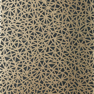 Aedan Black T10408 by Thibaut Designer Wallpaper