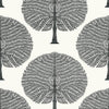 Mulberry Tree Black and White T10602 by Thibaut Designer Wallpaper