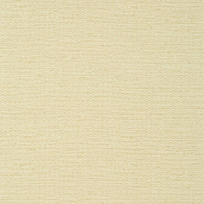 Prairie Weave Straw T10962 by Thibaut Wallpaper Thibaut Wallpaper Prairie Weave Straw T10962Wallpaper Texture Resource 7 Non-Woven Vinyl Wallpaper UNITED STATES </p><p>Repeat: V: 21 27 - Fabric Carolina -