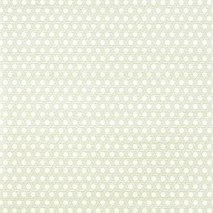 Pergola Green T12809 by Thibaut Designer Wallpaper