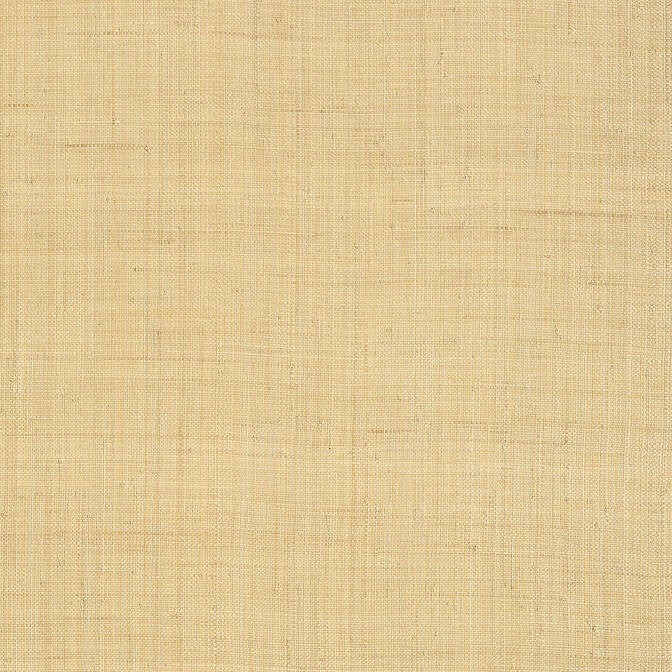 Carolina Raffia Natural T13040 by Thibaut Wallpaper Thibaut Wallpaper Carolina Raffia Natural T13040Wallpaper Monterey Raffia KOREA </p><p>Repeat: V: - 36 - Fabric Carolina -