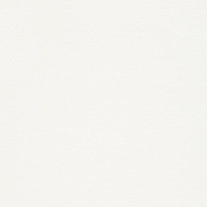 Surfrider White T13112 by Thibaut Designer Wallpaper