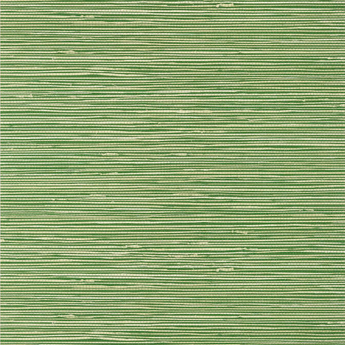 St. Thomas Emerald T13340 by Thibaut Wallpaper Thibaut Wallpaper St. Thomas Emerald T13340Wallpaper Pavilion Non-Woven Vinyl Wallpaper UNITED STATES </p><p>Repeat: V: 21 27 - Fabric Carolina -