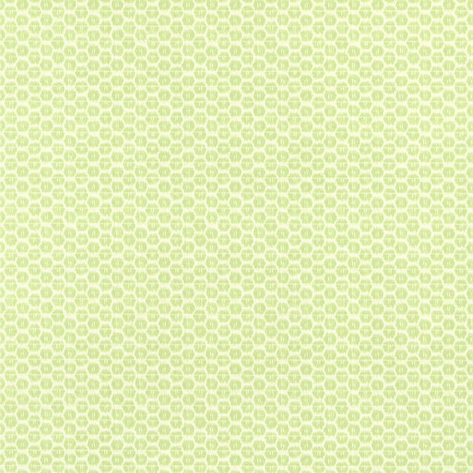 Akari Spring T13365 by Thibaut Wallpaper Thibaut Wallpaper Akari Spring T13365Wallpaper Pavilion Non-Woven Vinyl Wallpaper UNITED STATES </p><p>Repeat: V: 5.25 27 - Fabric Carolina -