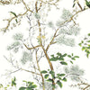 Katsura Green and White T13621 by Thibaut Designer Wallpaper