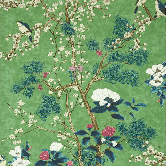 Katsura Emerald T13623 by Thibaut Wallpaper Thibaut Wallpaper Katsura Emerald T13623Wallpaper Grand Palace Non Woven Wallpaper UNITED STATES </p><p>Repeat: V: 51 27 - Fabric Carolina -