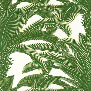 Queen Palm Green T13907 by Thibaut Designer Wallpaper