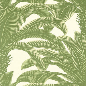 Queen Palm Sage T13911 by Thibaut Designer Wallpaper