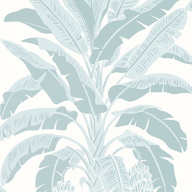 Banana Tree Spa Blue T13916 by Thibaut Wallpaper Thibaut Wallpaper Banana Tree Spa Blue T13916Wallpaper Palm Grove Wallpaper U.S.A. </p><p>Repeat: V: 36 27 - Fabric Carolina -