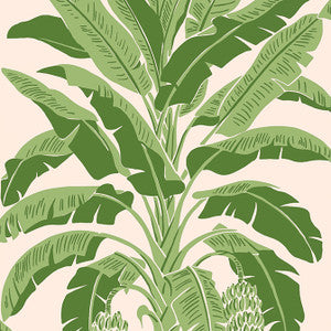 Banana Tree Pink and Green T13917 by Thibaut Designer Wallpaper