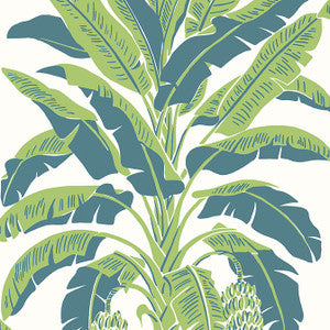 Banana Tree Green and Blue T13918 by Thibaut Designer Wallpaper