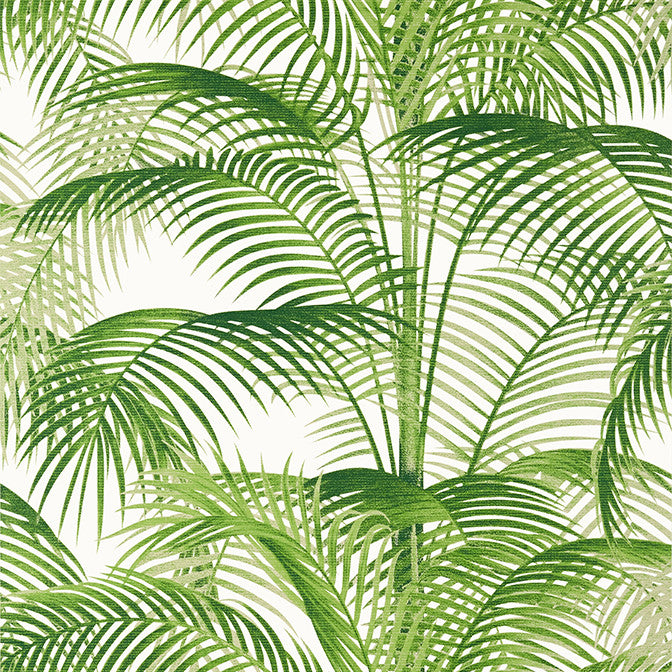Delray Green T13938 by Thibaut Wallpaper Thibaut Wallpaper Delray Green T13938Wallpaper Palm Grove Non Woven Wallpaper UNITED KINGDOM </p><p>Repeat: V: 27.5 27 - Fabric Carolina -