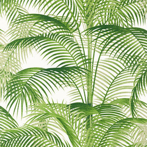 Delray Green T13938 by Thibaut Designer Wallpaper