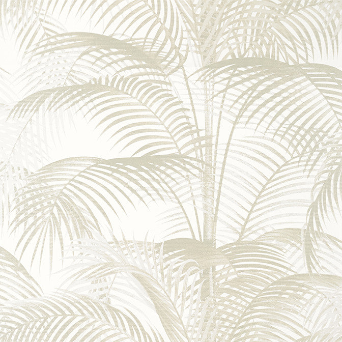 Delray Pearl T13941 by Thibaut Wallpaper Thibaut Wallpaper Delray Pearl T13941Wallpaper Palm Grove Non Woven Wallpaper UNITED KINGDOM </p><p>Repeat: V: 27.5 27 - Fabric Carolina -