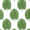 Monstera Green T13952 by Thibaut Designer Wallpaper