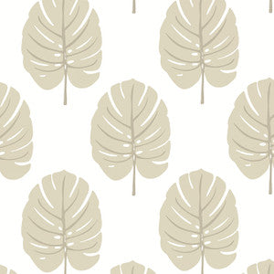Monstera Beige T13956 by Thibaut Designer Wallpaper