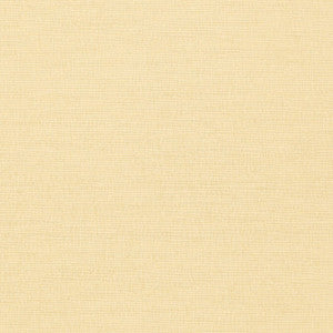 Coastal Sisal Cream T14107 by Thibaut Designer Wallpaper