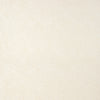 VITA TEXTURE Cream T14281 by Thibaut Designer Wallpaper