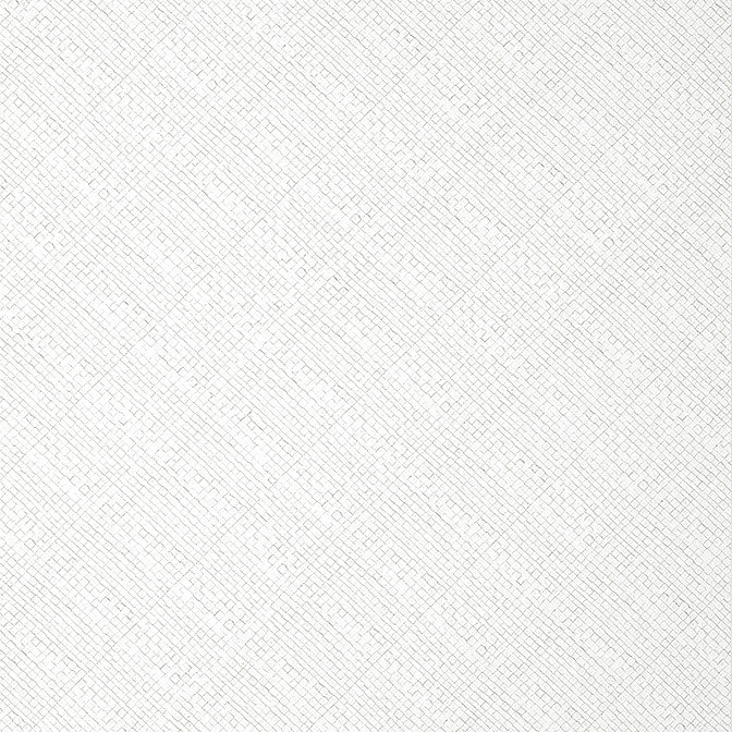 Jackson Weave Dove T14501 by Thibaut Wallpaper Thibaut Wallpaper Jackson Weave Dove T14501Wallpaper Texture Resource 8 Non-Woven Vinyl Wallpaper UNITED STATES </p><p>Repeat: V: 0 26 - Fabric Carolina -