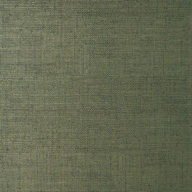 Bankun Raffia Forest T14513 by Thibaut Wallpaper Thibaut Wallpaper Bankun Raffia Forest T14513Wallpaper Texture Resource 8 Non-Woven Vinyl Wallpaper UNITED STATES </p><p>Repeat: V: 0 26 - Fabric Carolina -