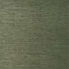 Bankun Raffia Forest T14513 by Thibaut Designer Wallpaper