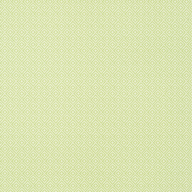 Rimba Spring T14543 by Thibaut Wallpaper Thibaut Wallpaper Rimba Spring T14543Wallpaper Texture Resource 8 Non-Woven Vinyl Wallpaper UNITED STATES </p><p>Repeat: V: 1.75 27 - Fabric Carolina -