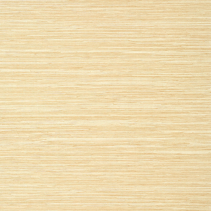 Normandy Straw T14548 by Thibaut Wallpaper Thibaut Wallpaper Normandy Straw T14548Wallpaper Texture Resource 8 Non-Woven Vinyl Wallpaper UNITED STATES </p><p>Repeat: V: 21 27 - Fabric Carolina -